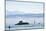 Ferry, Friedrichshafen, Lake of Constance, Baden-Wurttemberg, Germany-Ernst Wrba-Mounted Photographic Print