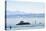 Ferry, Friedrichshafen, Lake of Constance, Baden-Wurttemberg, Germany-Ernst Wrba-Stretched Canvas