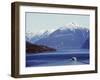 Ferry in Howe Sound, Scenery on the Sea to Sky Highway, Near Vancouver, British Columbia, Canada-Christian Kober-Framed Photographic Print