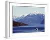 Ferry in Howe Sound, Scenery on the Sea to Sky Highway, Near Vancouver, British Columbia, Canada-Christian Kober-Framed Photographic Print