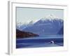 Ferry in Howe Sound, Scenery on the Sea to Sky Highway, Near Vancouver, British Columbia, Canada-Christian Kober-Framed Photographic Print