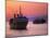 Ferry & Marine Traffic at Mykonos Harbor, Greece-Walter Bibikow-Mounted Premium Photographic Print