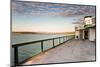 Ferry-jaimepharr-Mounted Photographic Print