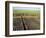 Fertile Fields of Sugar Cane on West Bank, Luxor, Egypt-Cindy Miller Hopkins-Framed Photographic Print