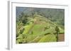 Fertile Hills in Central Java Covered with Tiny Smallholdings Growing Vegetables-Annie Owen-Framed Photographic Print