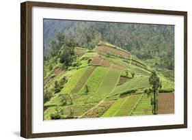 Fertile Hills in Central Java Covered with Tiny Smallholdings Growing Vegetables-Annie Owen-Framed Photographic Print