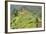 Fertile Hills in Central Java Covered with Tiny Smallholdings Growing Vegetables-Annie Owen-Framed Photographic Print