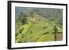 Fertile Hills in Central Java Covered with Tiny Smallholdings Growing Vegetables-Annie Owen-Framed Photographic Print