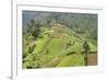 Fertile Hills in Central Java Covered with Tiny Smallholdings Growing Vegetables-Annie Owen-Framed Photographic Print