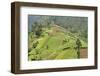 Fertile Hills in Central Java Covered with Tiny Smallholdings Growing Vegetables-Annie Owen-Framed Photographic Print