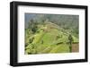 Fertile Hills in Central Java Covered with Tiny Smallholdings Growing Vegetables-Annie Owen-Framed Photographic Print