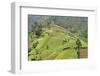 Fertile Hills in Central Java Covered with Tiny Smallholdings Growing Vegetables-Annie Owen-Framed Photographic Print