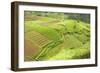 Fertile Smallholdings of Vegetables Covering the Sloping Hills in Central Java-Annie Owen-Framed Photographic Print