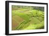 Fertile Smallholdings of Vegetables Covering the Sloping Hills in Central Java-Annie Owen-Framed Photographic Print