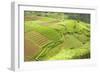 Fertile Smallholdings of Vegetables Covering the Sloping Hills in Central Java-Annie Owen-Framed Photographic Print