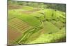 Fertile Smallholdings of Vegetables Covering the Sloping Hills in Central Java-Annie Owen-Mounted Photographic Print