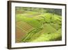 Fertile Smallholdings of Vegetables Covering the Sloping Hills in Central Java-Annie Owen-Framed Photographic Print