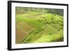 Fertile Smallholdings of Vegetables Covering the Sloping Hills in Central Java-Annie Owen-Framed Photographic Print