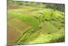 Fertile Smallholdings of Vegetables Covering the Sloping Hills in Central Java-Annie Owen-Mounted Photographic Print