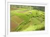 Fertile Smallholdings of Vegetables Covering the Sloping Hills in Central Java-Annie Owen-Framed Photographic Print