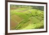 Fertile Smallholdings of Vegetables Covering the Sloping Hills in Central Java-Annie Owen-Framed Photographic Print