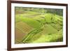 Fertile Smallholdings of Vegetables Covering the Sloping Hills in Central Java-Annie Owen-Framed Photographic Print