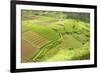 Fertile Smallholdings of Vegetables Covering the Sloping Hills in Central Java-Annie Owen-Framed Photographic Print