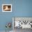 Fes, Two Whirling Dervishes Perform During a Concert at Fes Festival of World Sacred Music, Morocco-Susanna Wyatt-Framed Photographic Print displayed on a wall