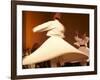 Fes, Two Whirling Dervishes Perform During a Concert at Fes Festival of World Sacred Music, Morocco-Susanna Wyatt-Framed Photographic Print