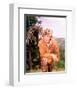 Fess Parker - Daniel Boone-null-Framed Photo