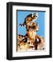 Fess Parker-null-Framed Photo