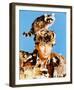 Fess Parker-null-Framed Photo