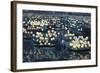 Festa Del Redentore (Festival of Light, Venice)-Maurice Brazil Prendergast-Framed Giclee Print