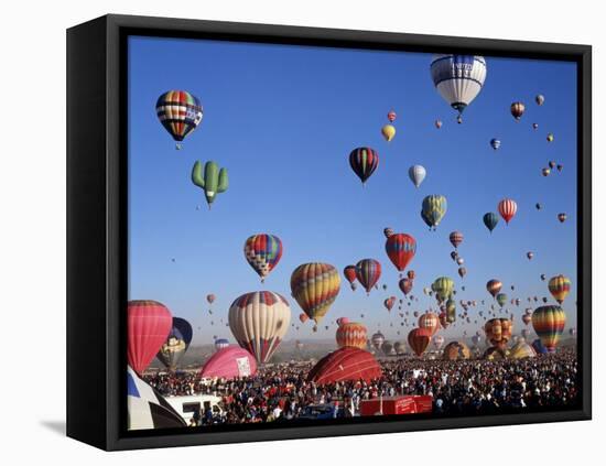 Festival Albuquerque, New Mexico, USA-null-Framed Stretched Canvas