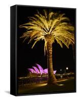 Festival of Light, Sydney Opera House and Palm Tree, Sydney, New South Wales, Australia, Pacific-Mark Mawson-Framed Stretched Canvas