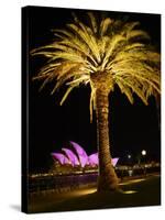 Festival of Light, Sydney Opera House and Palm Tree, Sydney, New South Wales, Australia, Pacific-Mark Mawson-Stretched Canvas