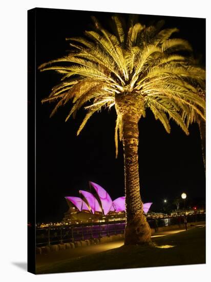Festival of Light, Sydney Opera House and Palm Tree, Sydney, New South Wales, Australia, Pacific-Mark Mawson-Stretched Canvas