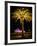 Festival of Light, Sydney Opera House and Palm Tree, Sydney, New South Wales, Australia, Pacific-Mark Mawson-Framed Photographic Print