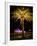 Festival of Light, Sydney Opera House and Palm Tree, Sydney, New South Wales, Australia, Pacific-Mark Mawson-Framed Photographic Print