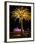 Festival of Light, Sydney Opera House and Palm Tree, Sydney, New South Wales, Australia, Pacific-Mark Mawson-Framed Photographic Print