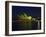 Festival of Light, Sydney Opera House, Sydney, New South Wales, Australia-Mark Mawson-Framed Photographic Print