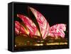 Festival of Light, Sydney Opera House, Sydney, New South Wales, Australia-Mark Mawson-Framed Stretched Canvas