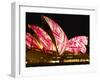 Festival of Light, Sydney Opera House, Sydney, New South Wales, Australia-Mark Mawson-Framed Photographic Print