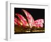 Festival of Light, Sydney Opera House, Sydney, New South Wales, Australia-Mark Mawson-Framed Photographic Print