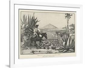 Festival of St Antony at the Chapel of San Antonio, Tenerife-Amedee Forestier-Framed Giclee Print