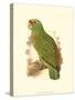 Festive Amazon Parrot-null-Stretched Canvas