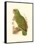 Festive Amazon Parrot-null-Framed Stretched Canvas