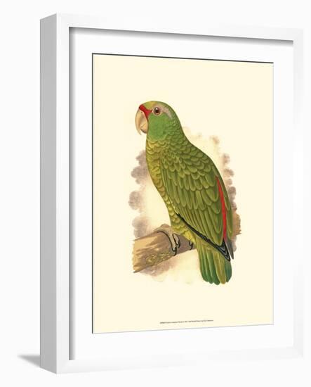 Festive Amazon Parrot-null-Framed Art Print