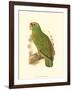 Festive Amazon Parrot-null-Framed Art Print