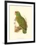 Festive Amazon Parrot-null-Framed Art Print